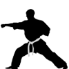 Martial Arts
