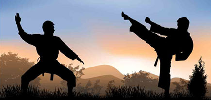 About Azad Hind Karate